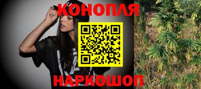 стаф Бузулук
